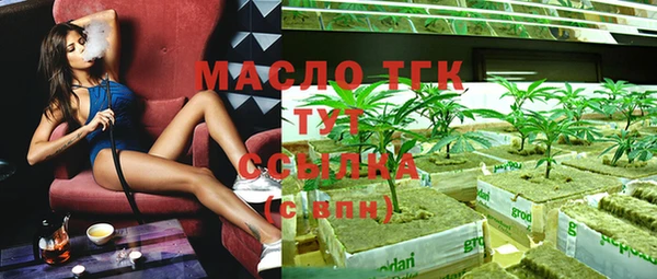 хмурый Сатка