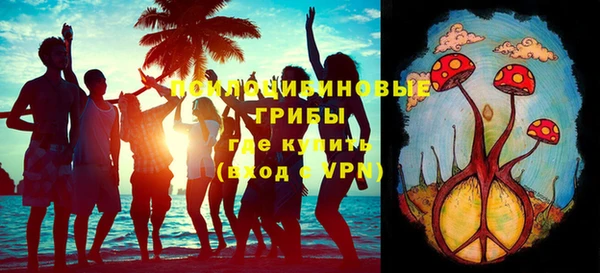 ешки Алзамай