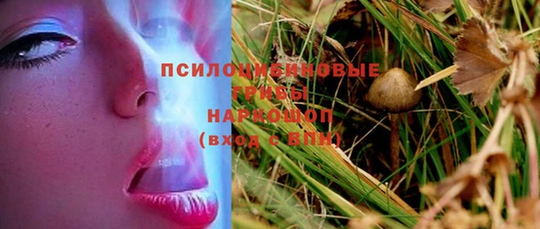 ешки Алзамай