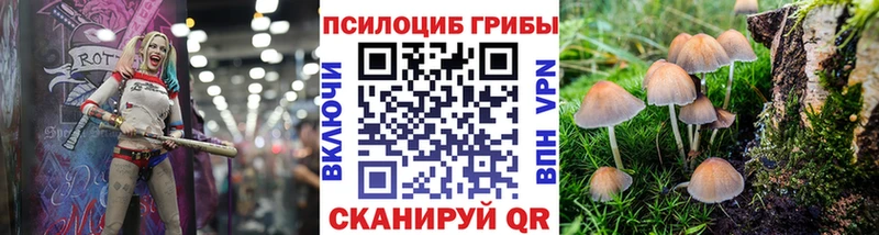 Галлюциногенные грибы Magic Shrooms  Богородск 