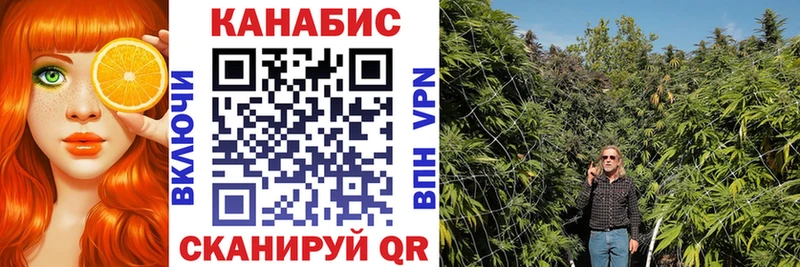 как найти наркотики  Богородск  Конопля AK-47 